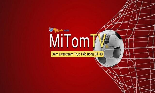 Link vào MiTom TV chuẩn