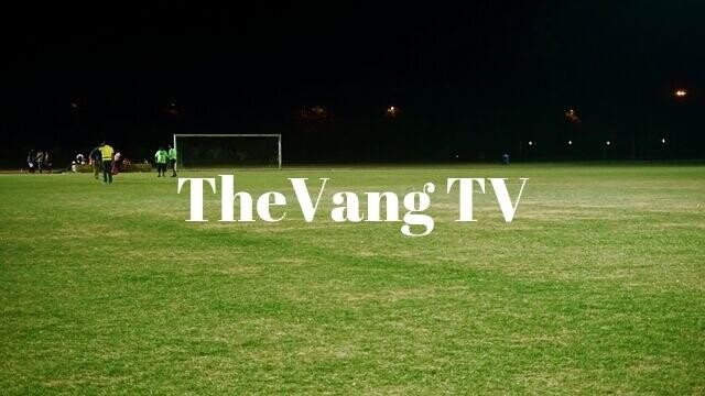 Đôi nét giới thiệu kênh Thevang TV